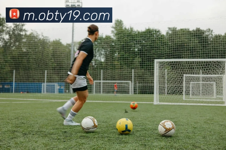 ob欧宝官网平台生态图